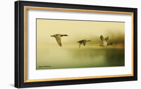 Ducks Flying-Carlos Casamayor-Framed Art Print