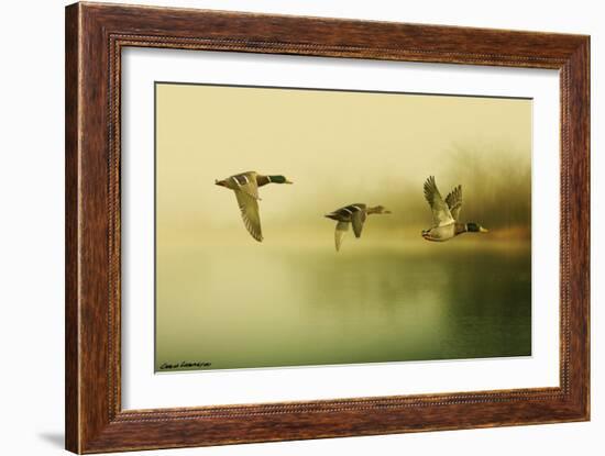 Ducks Flying-Carlos Casamayor-Framed Giclee Print