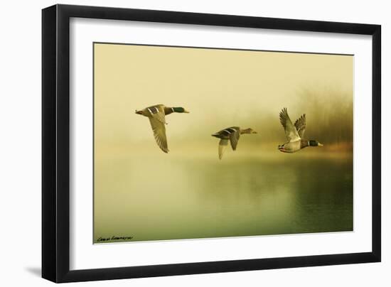 Ducks Flying-Carlos Casamayor-Framed Giclee Print