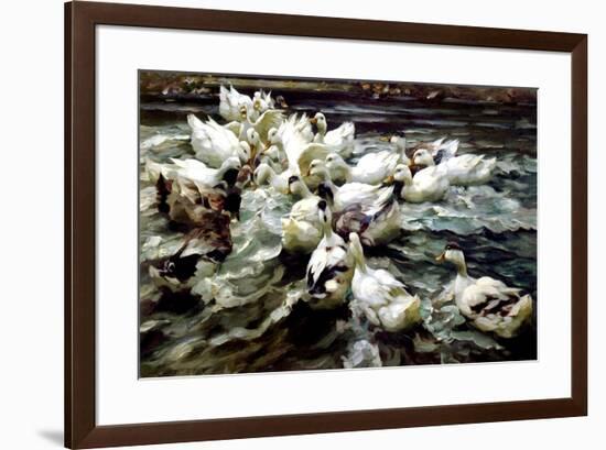 Ducks Gathering-Alexander Koester-Framed Giclee Print