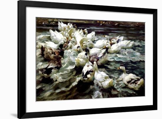 Ducks Gathering-Alexander Koester-Framed Premium Giclee Print
