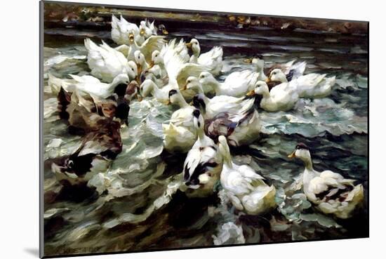 Ducks Gathering-Alexander Koester-Mounted Giclee Print