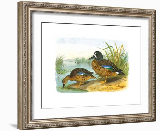 Ducks III-Henry Jones-Framed Premium Giclee Print