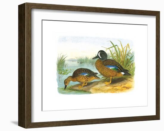 Ducks III-Henry Jones-Framed Premium Giclee Print