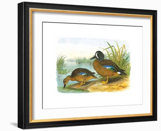 Ducks III-Henry Jones-Framed Premium Giclee Print