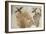 Ducks in a Papyrus Swamp, from Tell el-Amarna-null-Framed Giclee Print