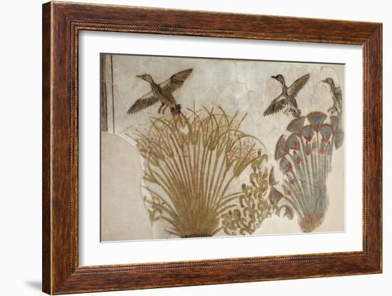 Ducks in a Papyrus Swamp, from Tell el-Amarna-null-Framed Giclee Print