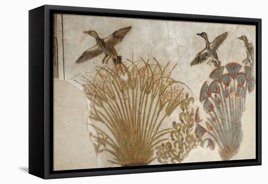 Ducks in a Papyrus Swamp, from Tell el-Amarna-null-Framed Premier Image Canvas