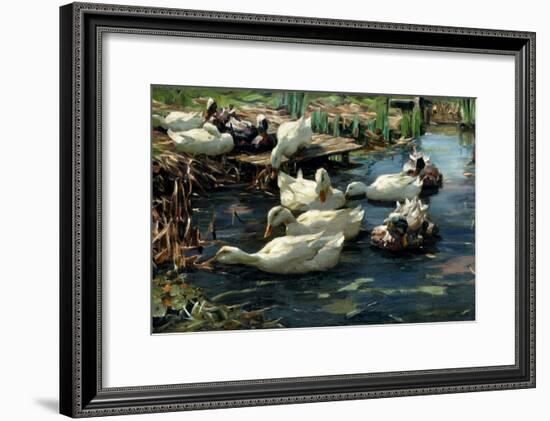 Ducks in a Pool-Alexander Koester-Framed Giclee Print