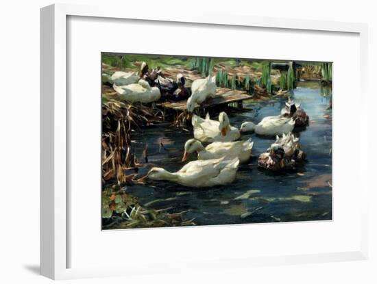 Ducks in a Pool-Alexander Koester-Framed Giclee Print
