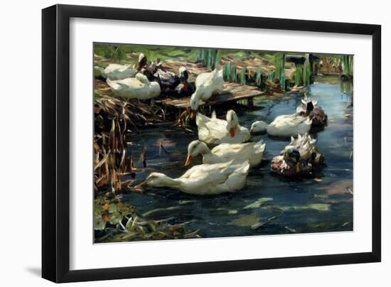 Ducks in a Pool-Alexander Koester-Framed Giclee Print