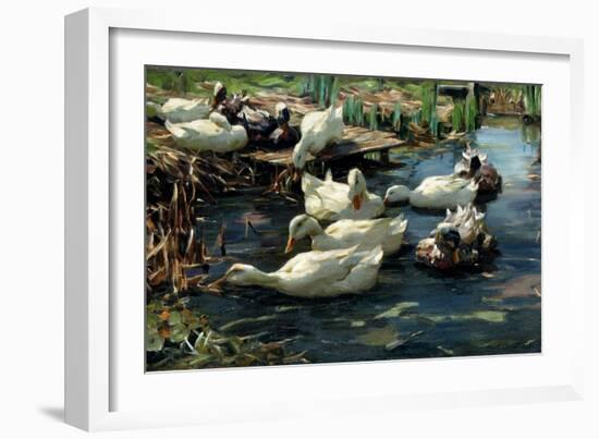 Ducks in a Pool-Alexander Koester-Framed Giclee Print