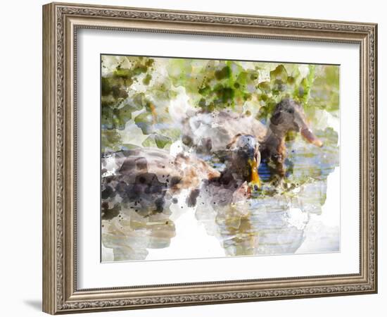 Ducks in Float I-Chamira Young-Framed Art Print