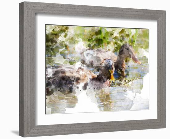 Ducks in Float I-Chamira Young-Framed Art Print