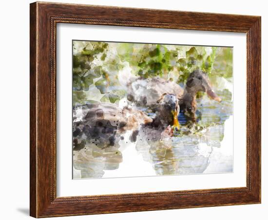 Ducks in Float I-Chamira Young-Framed Art Print