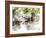 Ducks in Float I-Chamira Young-Framed Art Print