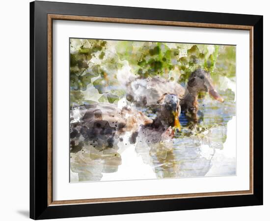 Ducks in Float I-Chamira Young-Framed Art Print