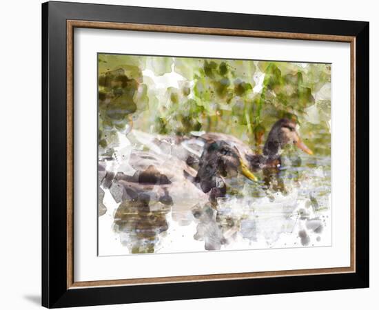 Ducks in Float II-Chamira Young-Framed Art Print