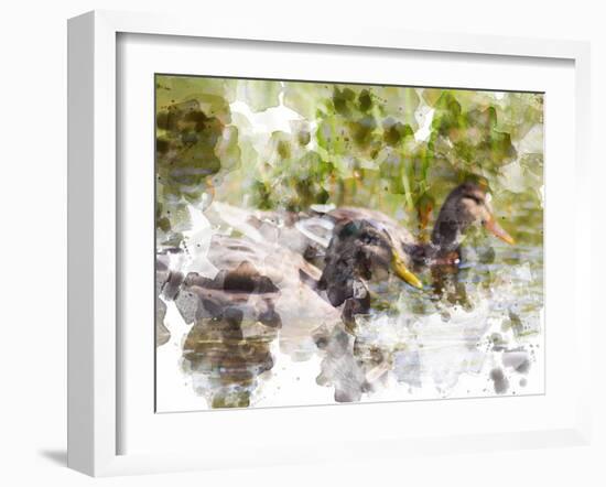 Ducks in Float II-Chamira Young-Framed Art Print