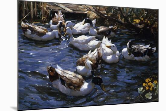 Ducks in the Reeds under the Boughs-Alexander Koester-Mounted Giclee Print