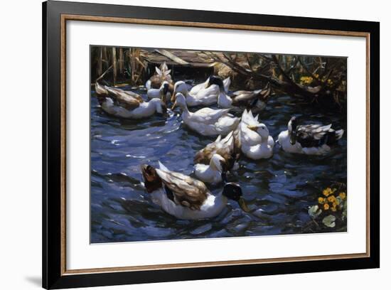 Ducks in the Reeds under the Boughs-Alexander Koester-Framed Premium Giclee Print