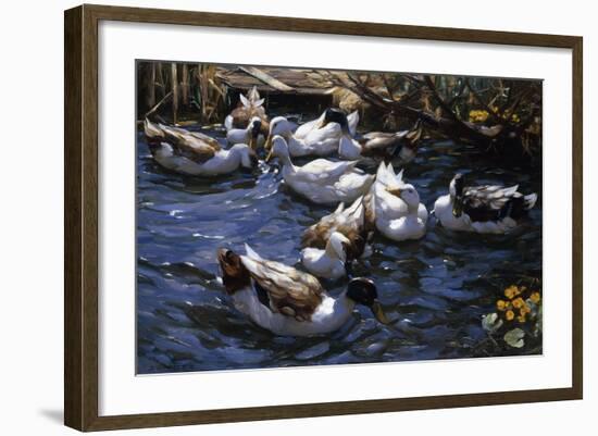 Ducks in the Reeds under the Boughs-Alexander Koester-Framed Premium Giclee Print