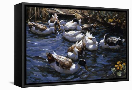 Ducks in the Reeds under the Boughs-Alexander Koester-Framed Premier Image Canvas