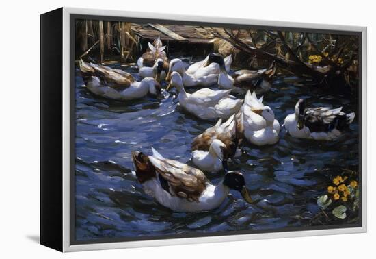 Ducks in the Reeds under the Boughs-Alexander Koester-Framed Premier Image Canvas