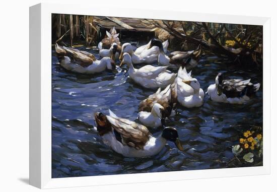 Ducks in the Reeds under the Boughs-Alexander Koester-Framed Premier Image Canvas