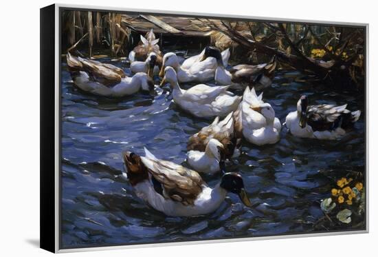 Ducks in the Reeds under the Boughs-Alexander Koester-Framed Premier Image Canvas
