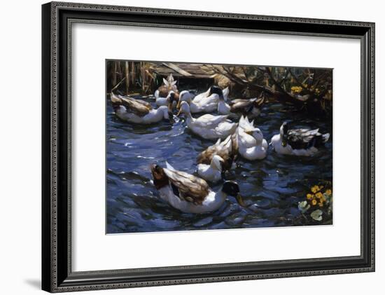 Ducks in the Reeds under the Boughs-Alexander Koester-Framed Giclee Print