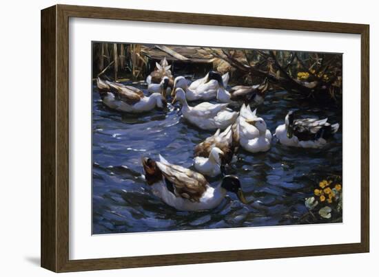 Ducks in the Reeds under the Boughs-Alexander Koester-Framed Giclee Print