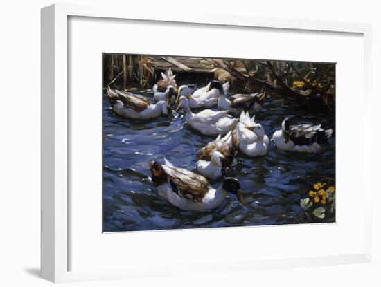 Ducks in the Reeds under the Boughs-Alexander Koester-Framed Giclee Print