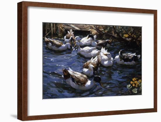 Ducks in the Reeds under the Boughs-Alexander Koester-Framed Giclee Print