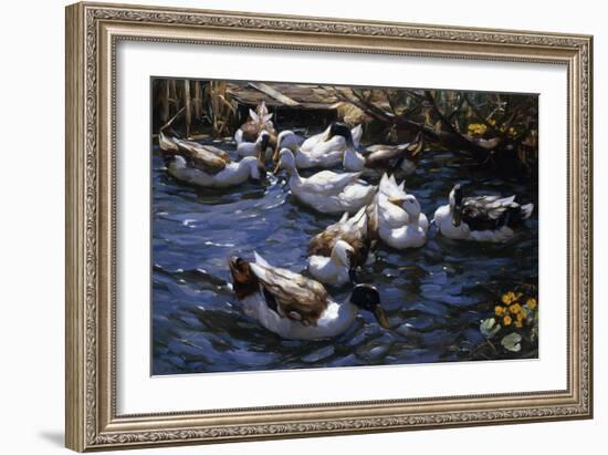 Ducks in the Reeds under the Boughs-Alexander Koester-Framed Premium Giclee Print