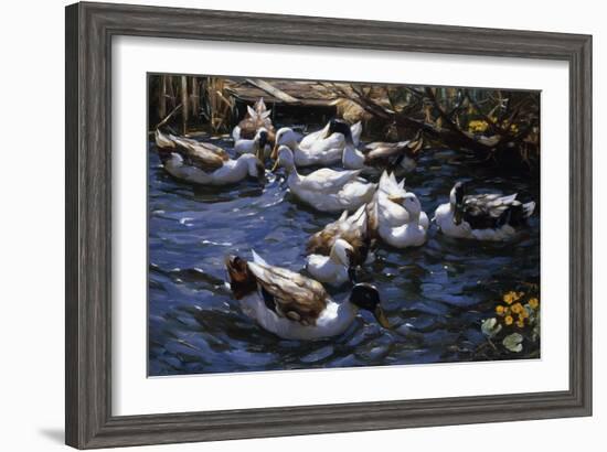 Ducks in the Reeds under the Boughs-Alexander Koester-Framed Premium Giclee Print