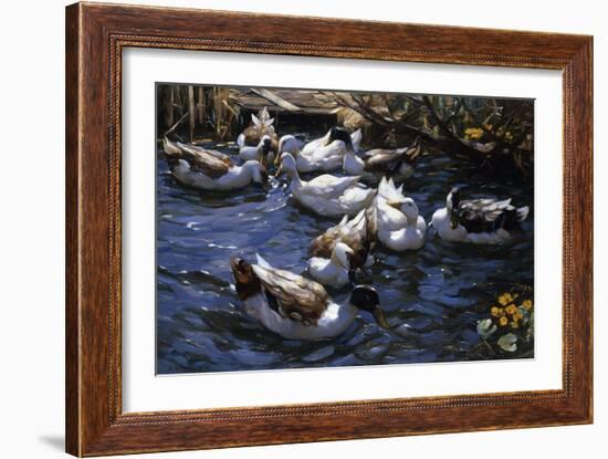 Ducks in the Reeds under the Boughs-Alexander Koester-Framed Premium Giclee Print