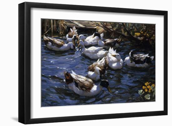 Ducks in the Reeds under the Boughs-Alexander Koester-Framed Premium Giclee Print