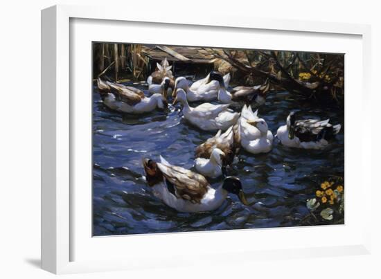 Ducks in the Reeds under the Boughs-Alexander Koester-Framed Premium Giclee Print