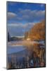 Ducks in wetlands slough with snowy barn, Kalispell, Montana, USA-Chuck Haney-Mounted Photographic Print