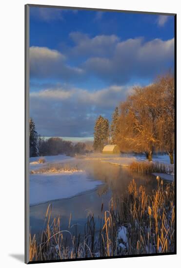 Ducks in wetlands slough with snowy barn, Kalispell, Montana, USA-Chuck Haney-Mounted Photographic Print