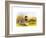 Ducks IV-Henry Jones-Framed Premium Giclee Print