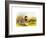 Ducks IV-Henry Jones-Framed Premium Giclee Print