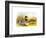 Ducks IV-Henry Jones-Framed Premium Giclee Print