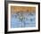 Ducks leaving the pond-Michael Scheufler-Framed Photographic Print