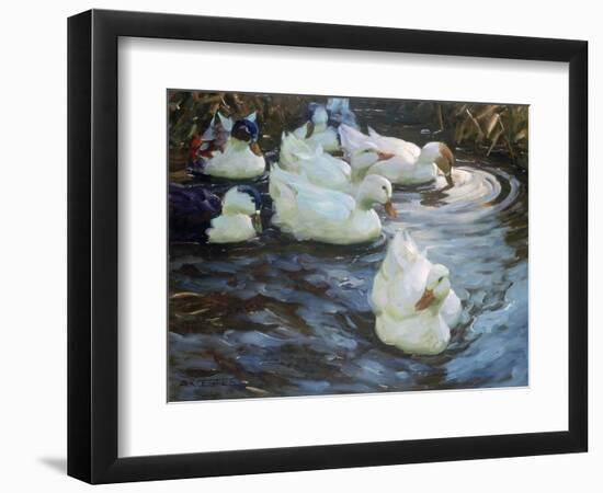 Ducks on a Pond, C1884-1932-Alexander Koester-Framed Giclee Print