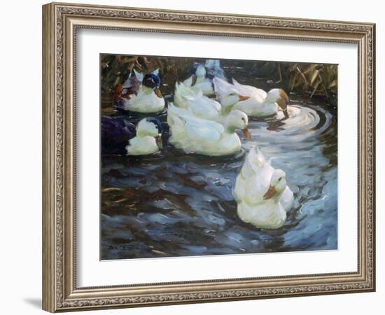 Ducks on a Pond, C1884-1932-Alexander Koester-Framed Giclee Print