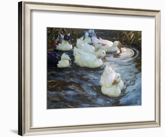 Ducks on a Pond, C1884-1932-Alexander Koester-Framed Giclee Print