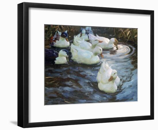 Ducks on a Pond, C1884-1932-Alexander Koester-Framed Giclee Print