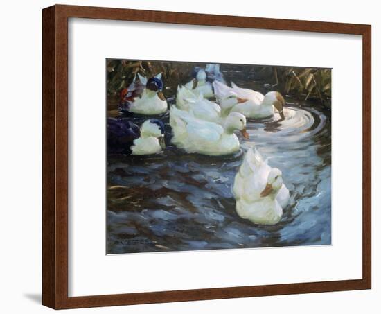 Ducks on a Pond, C1884-1932-Alexander Koester-Framed Giclee Print